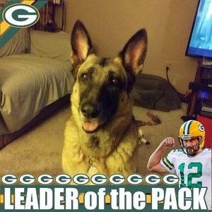 Meet your Posher, Rj